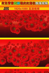 红菊视频,揭秘生活百态，展现时代风采